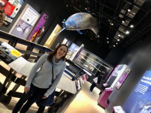 Narwhal Exhibit - Smithsonian